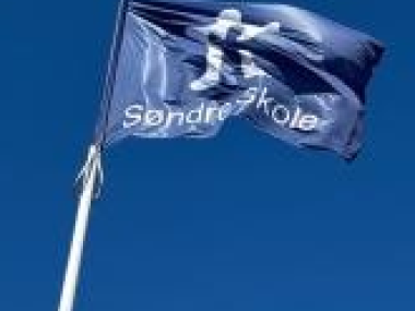 Søndre Skoles flag